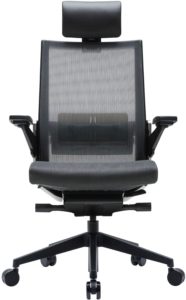 Best office chair to sit in all day - Profphysio